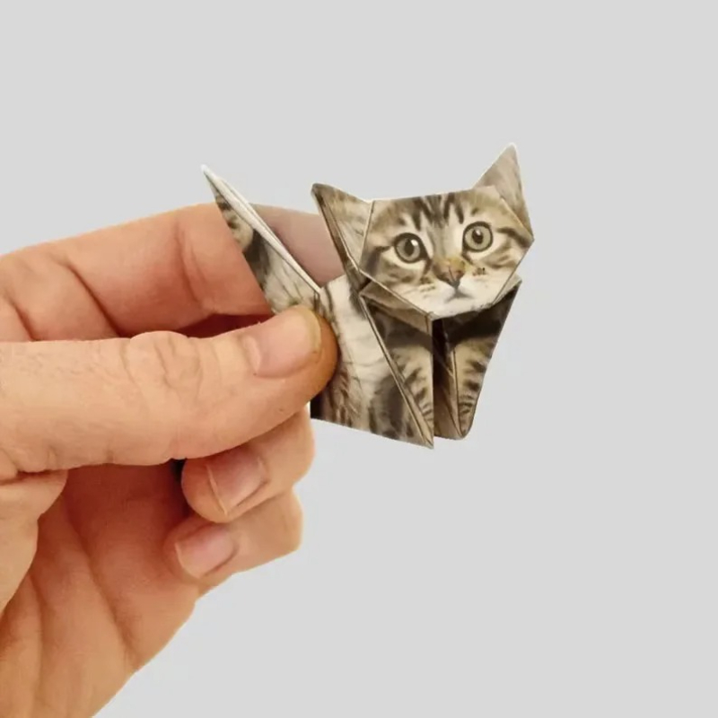 Kucing Kertas DIY Kreatif 50 L - Art Craft Cat ulasan dan harga